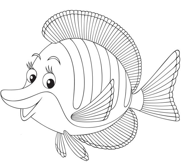 Learn How To Draw A Fish