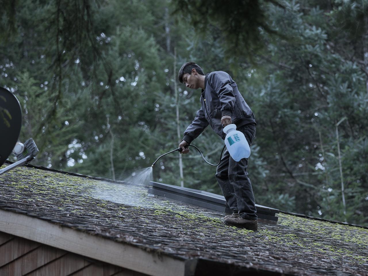 Roof Moss Removal   5417947 1280 922741094 1396840 L 