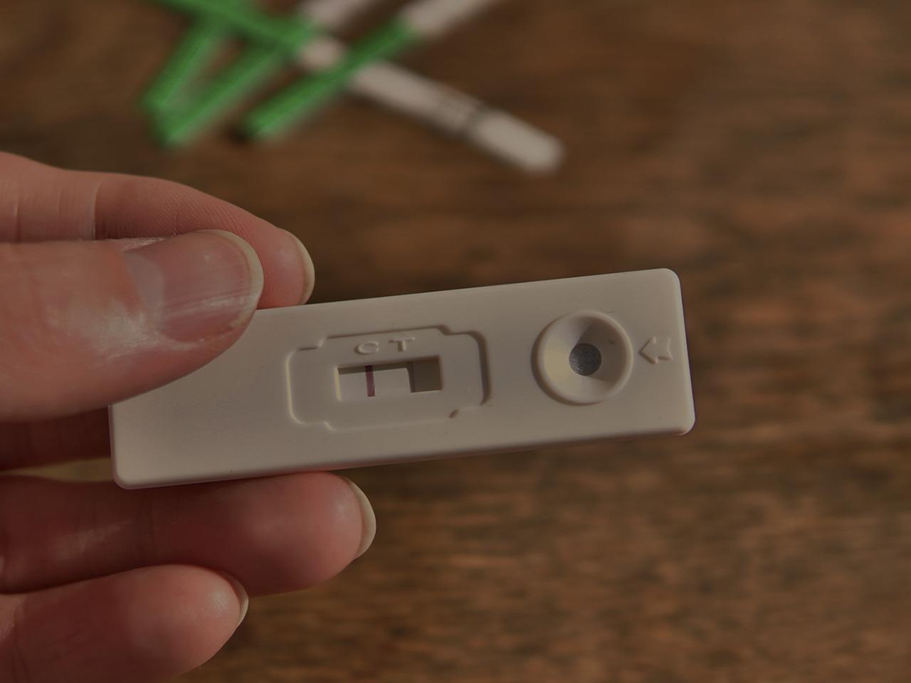 Can Pregnancy Be Detected In Cbc Test