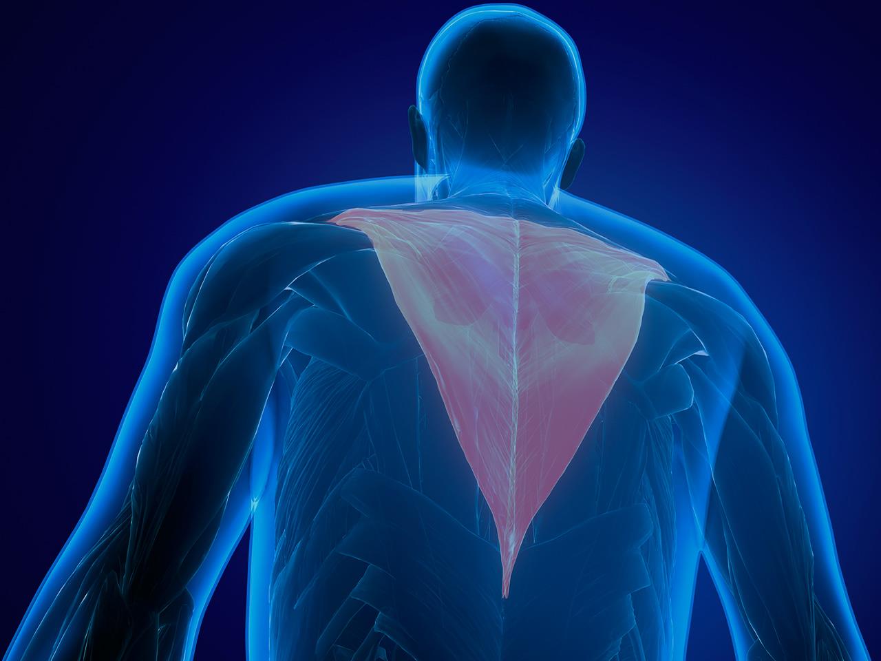 trapezius-muscle-strain