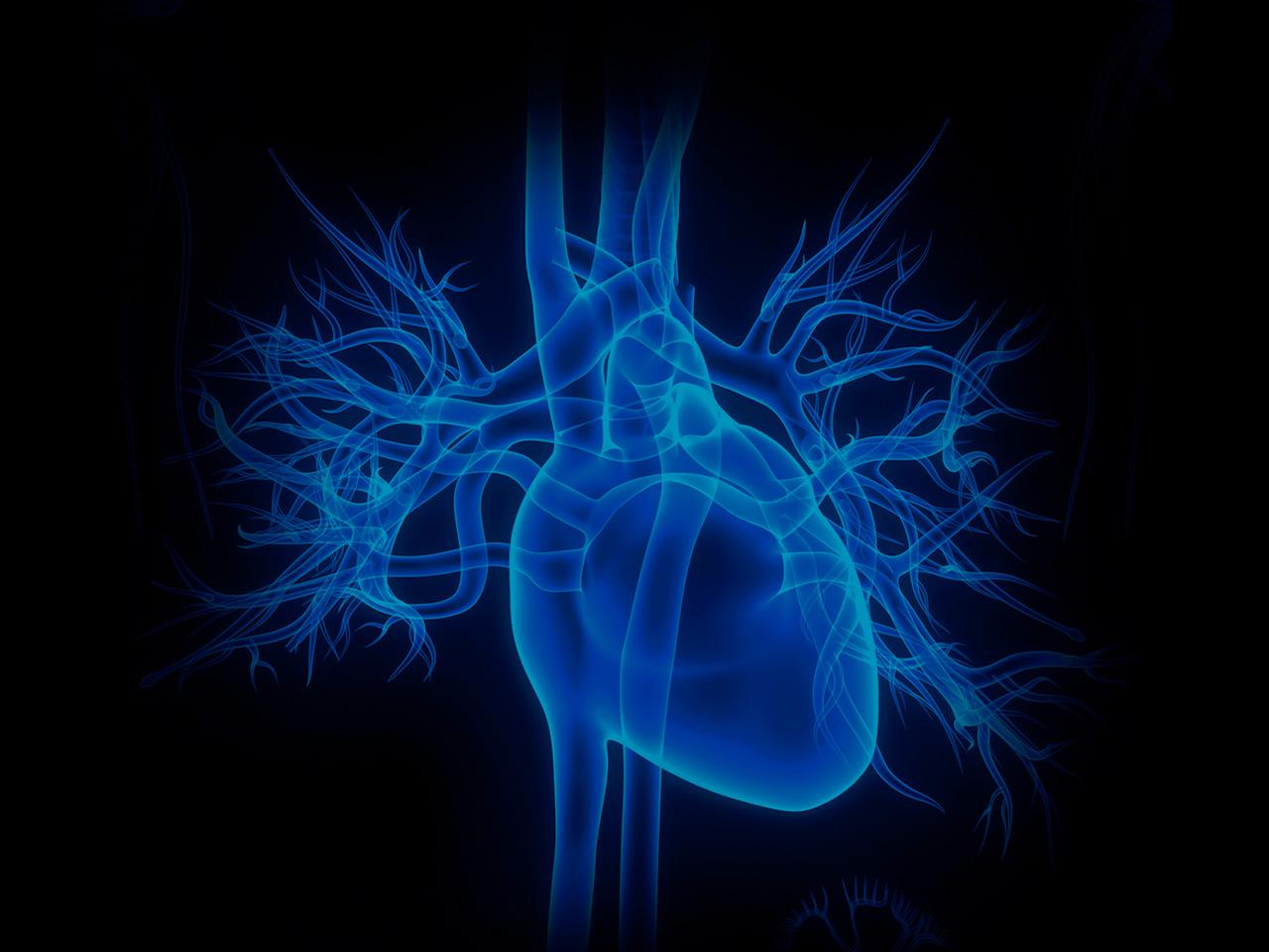 sinoatrial-node