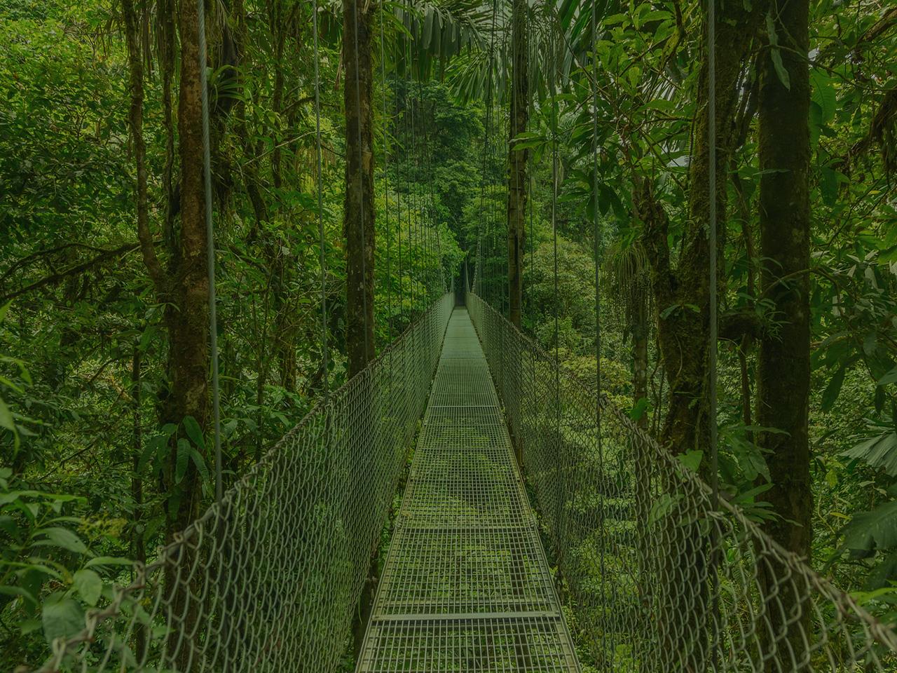 8 Most Dangerous Rope Bridges That Will Give You Goose Bumps