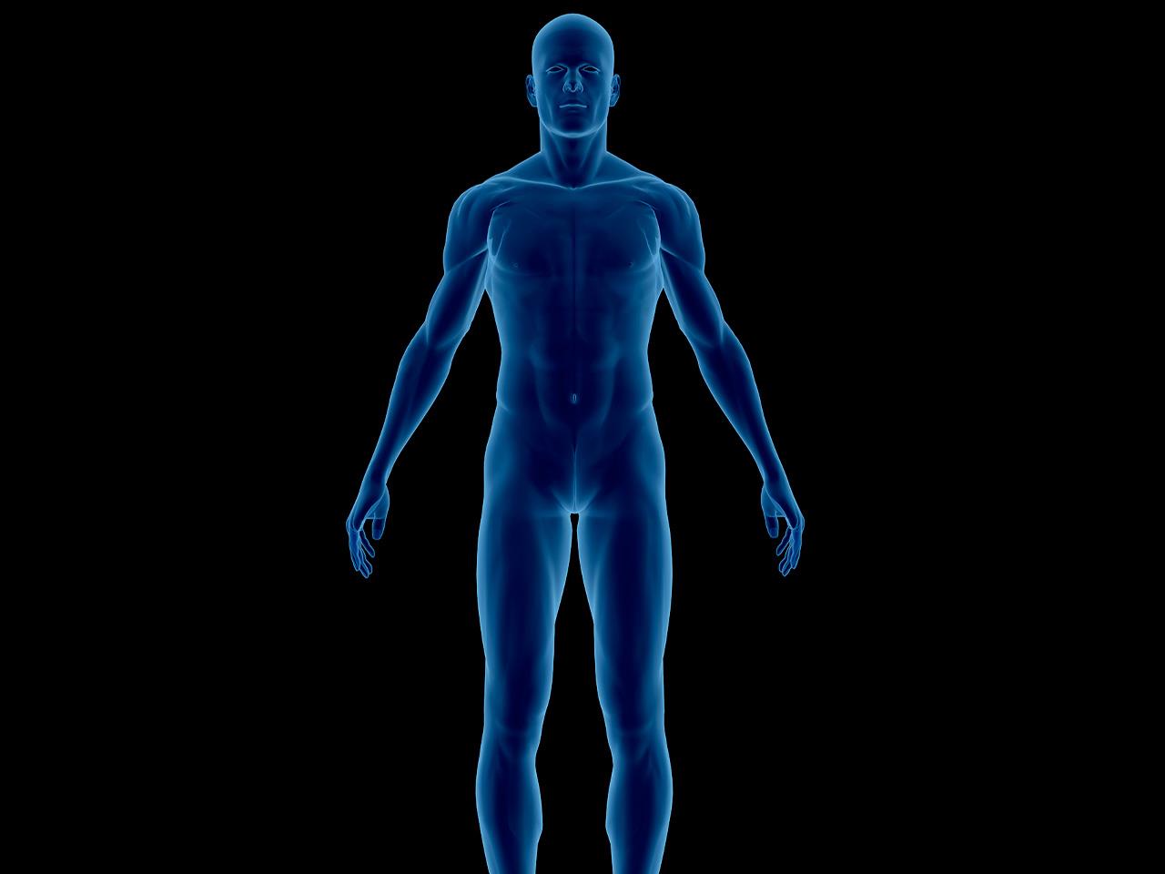 Normal Creatinine Levels By Age Mg Dl