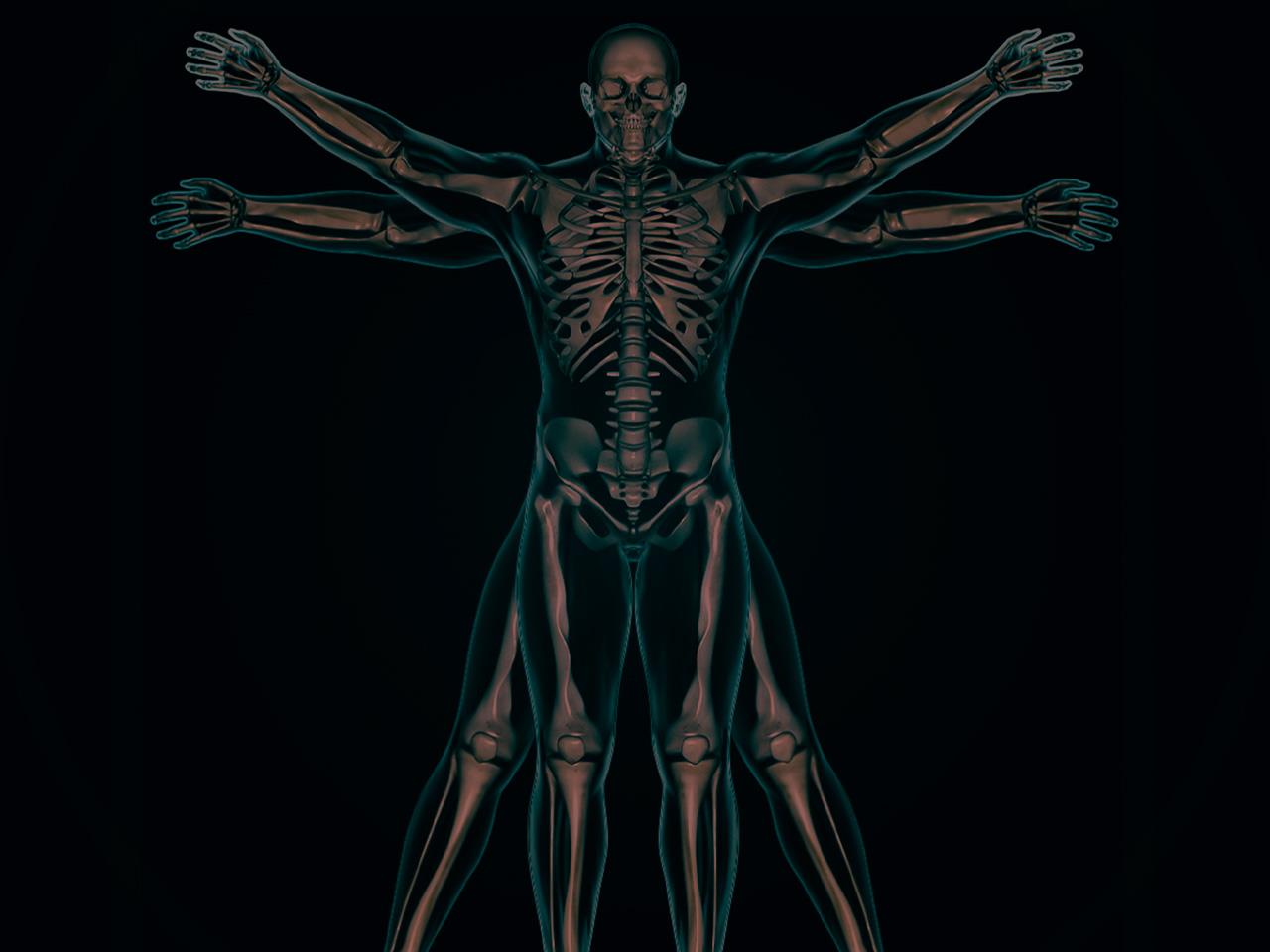 bone-remodeling-process