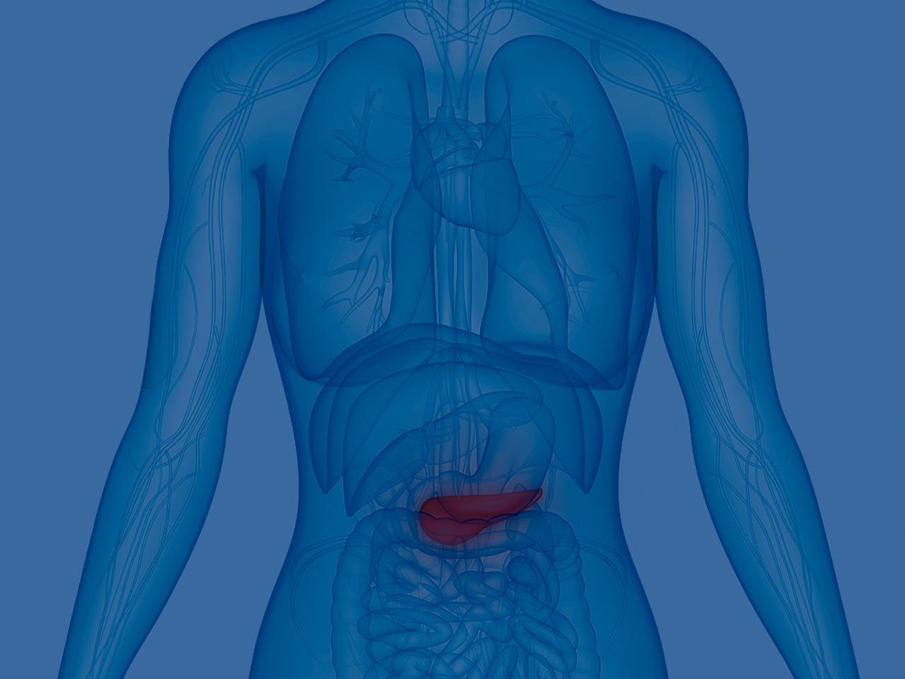 Hormones of the Pancreas