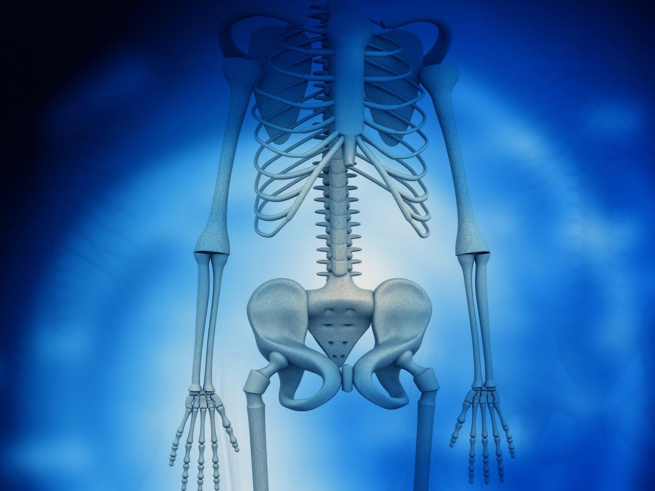 How to Take Care of the Skeletal System