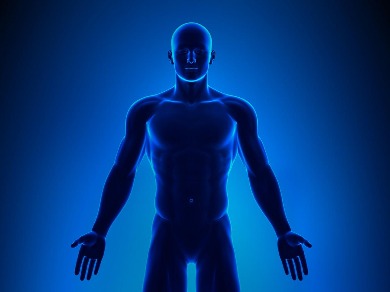 Human electric company. Human body. Energetic System аватарка фото. Human body Wallpaper. Body Energy.