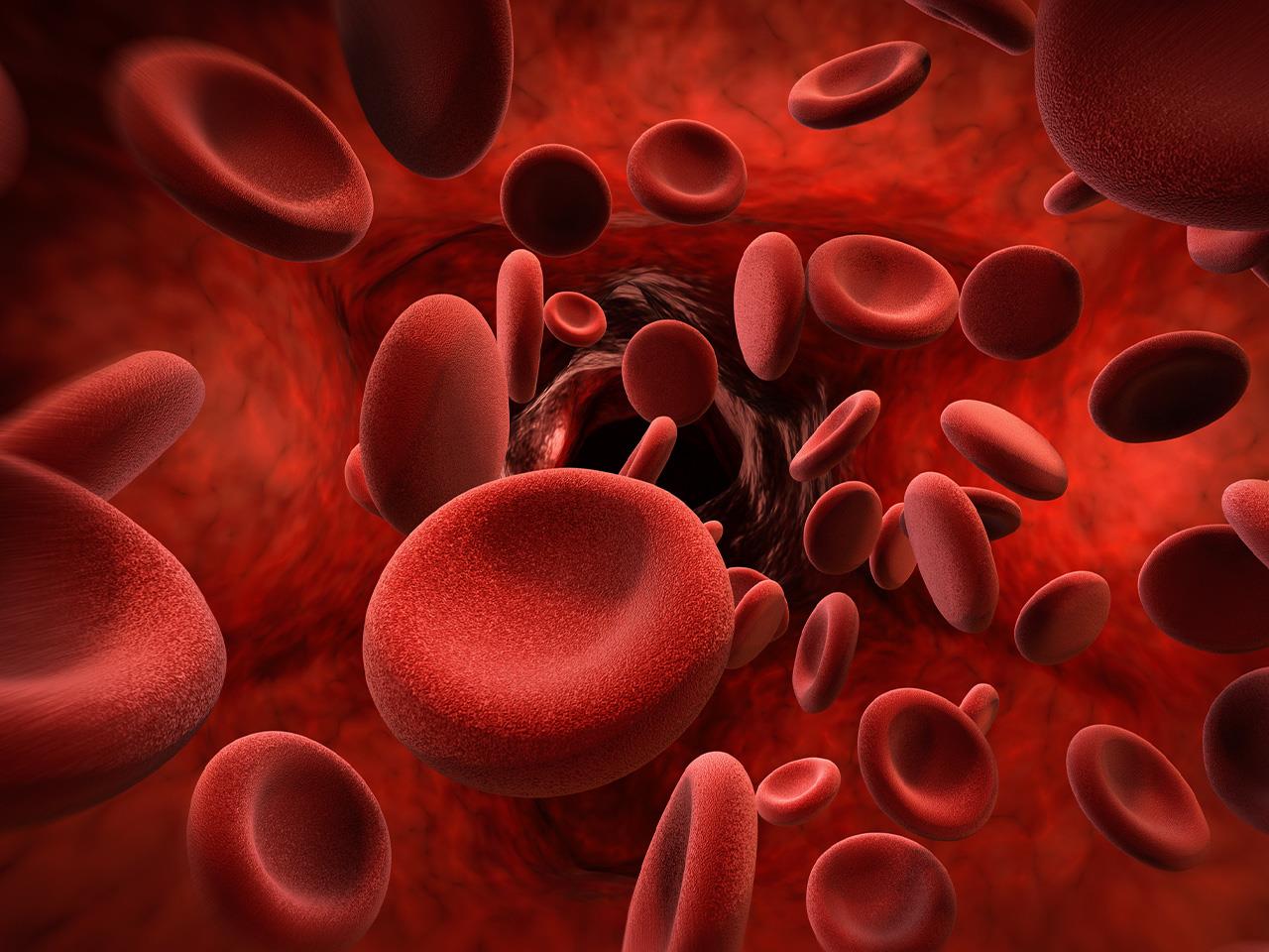 Low Platelet Count Causes