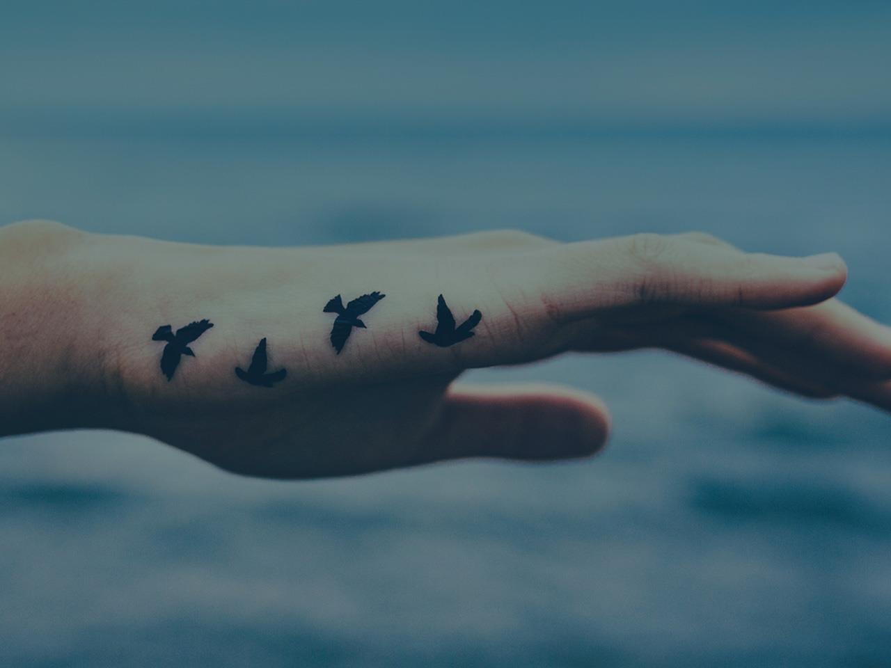 Image result for albatross tattoo  Seagull tattoo Tattoo illustration  Small tattoos