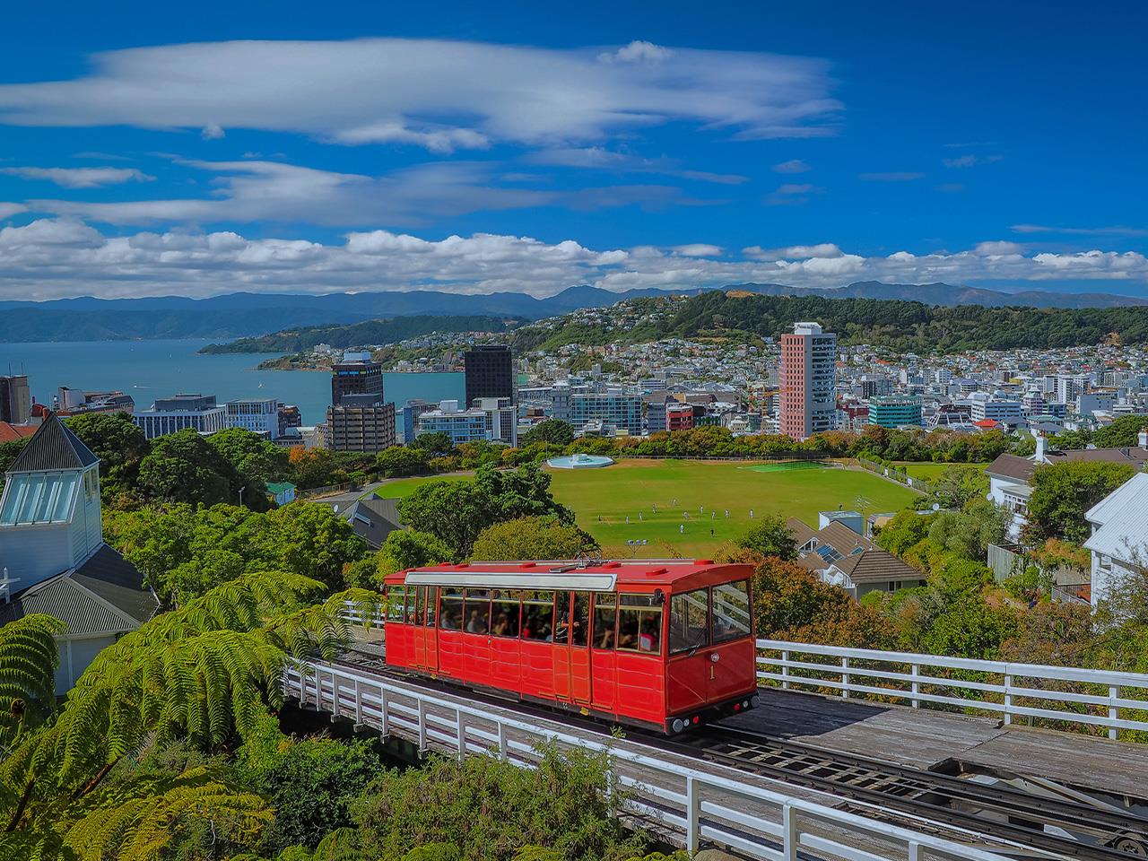 nice places to visit in wellington