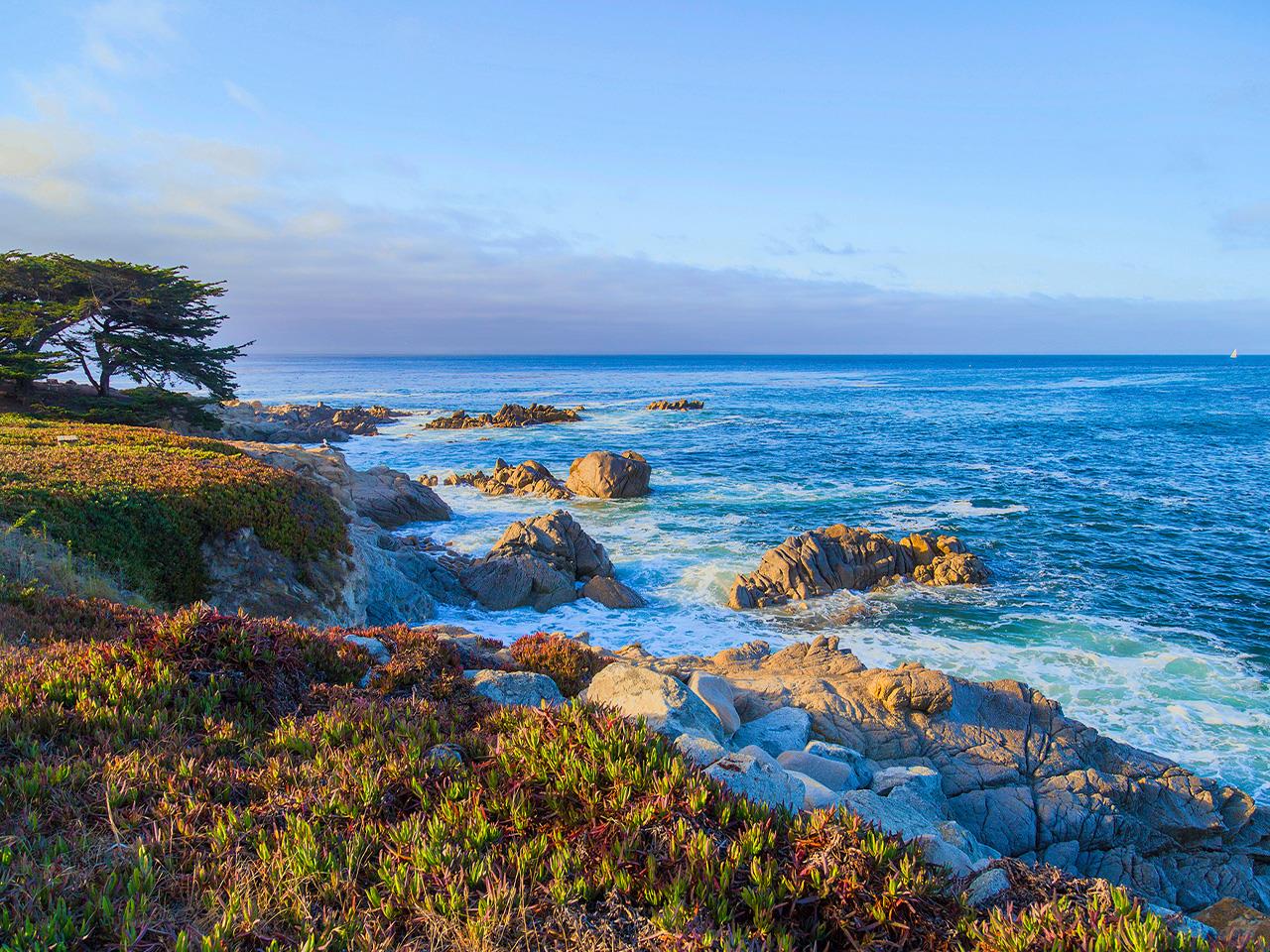 Monterey Beach vs Carmel Beach: Where to Go