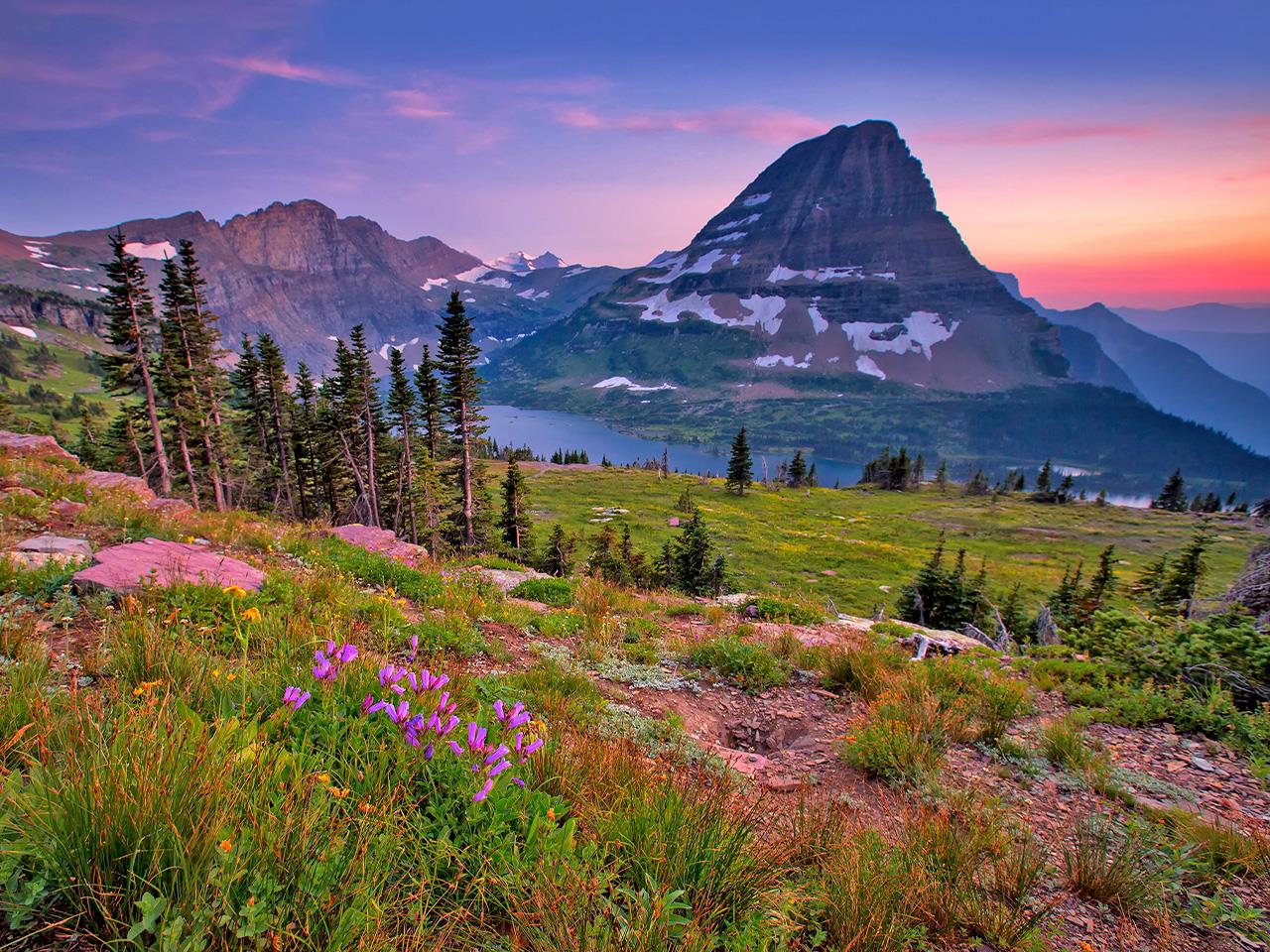 What Is The Topography Of The Tundra