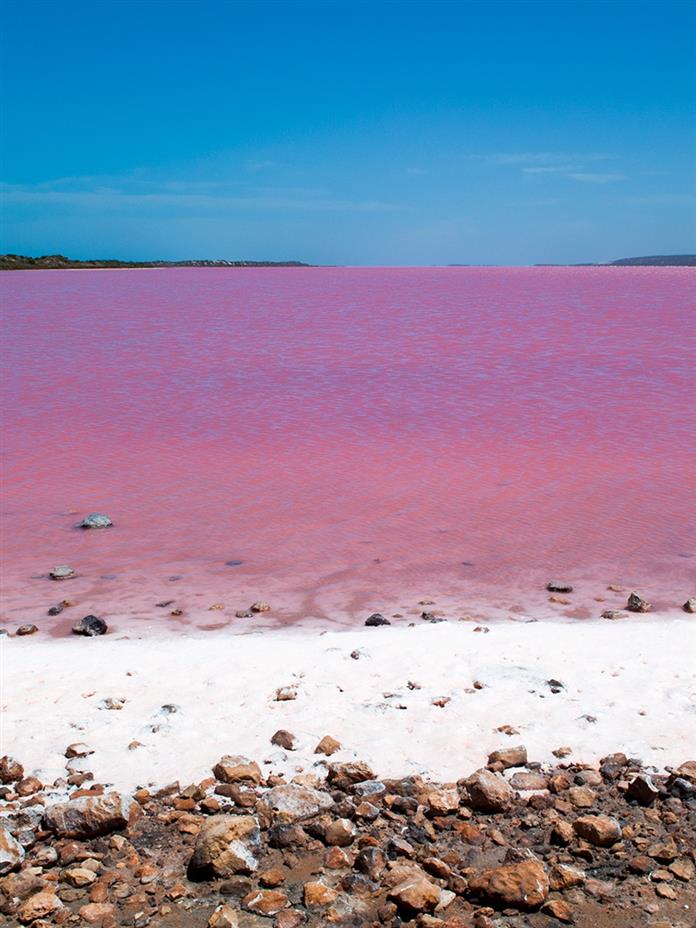 Magical Pink Lakes In Australia Facts And Locations