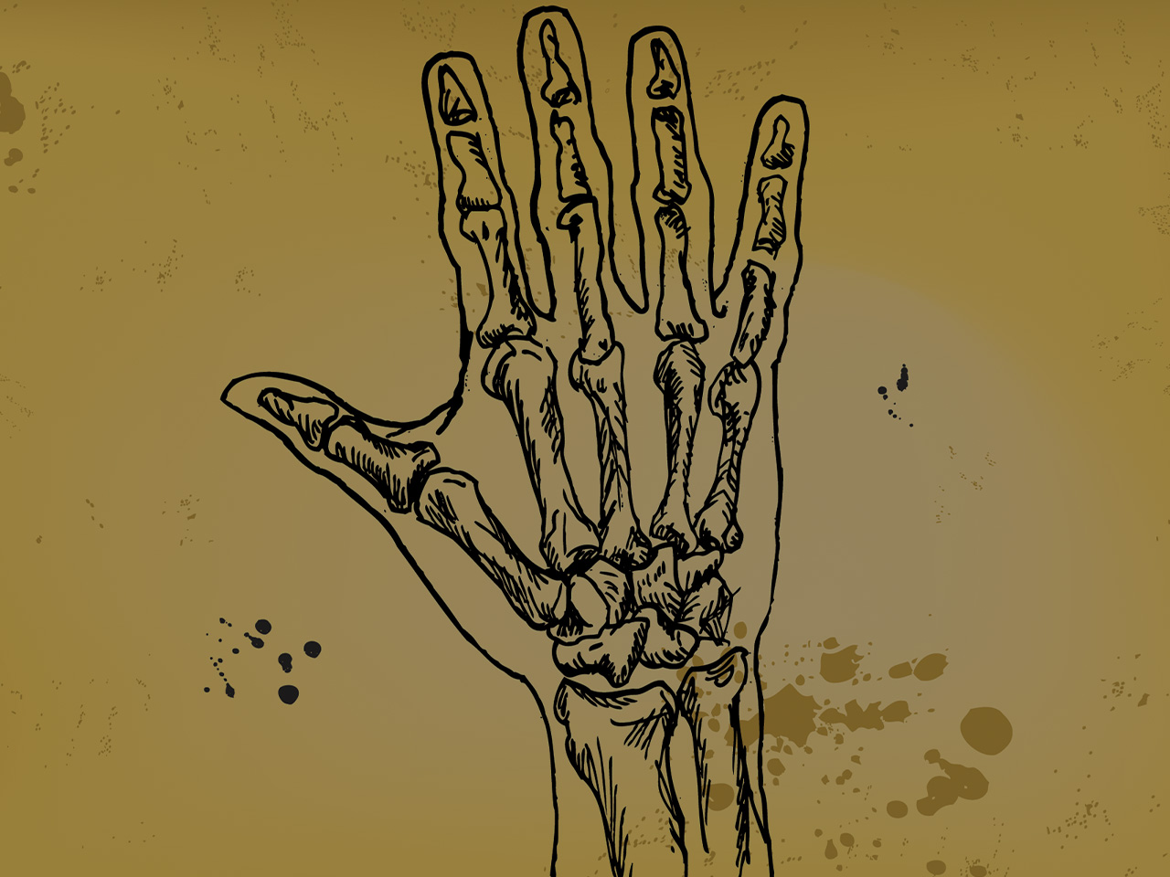 hand-anatomy