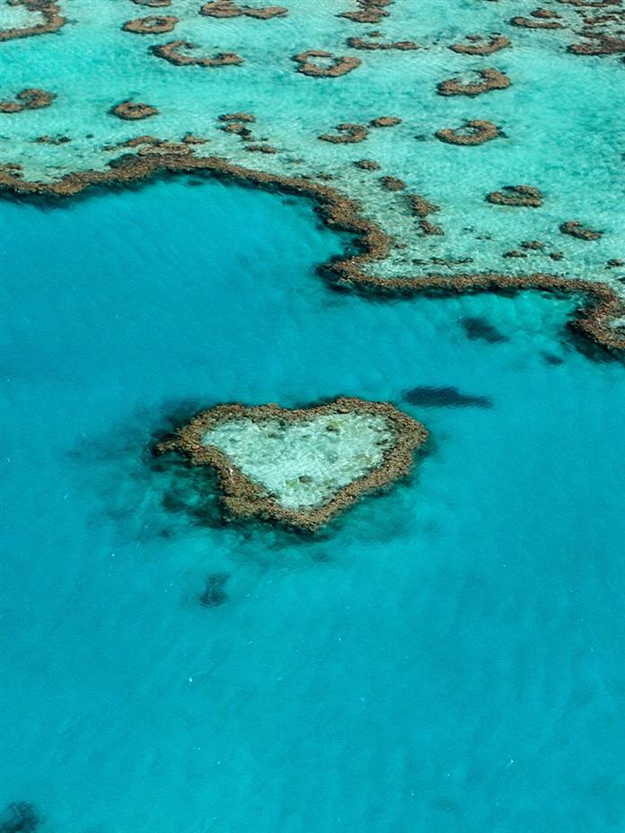 How Was The Great Barrier Reef Formed?