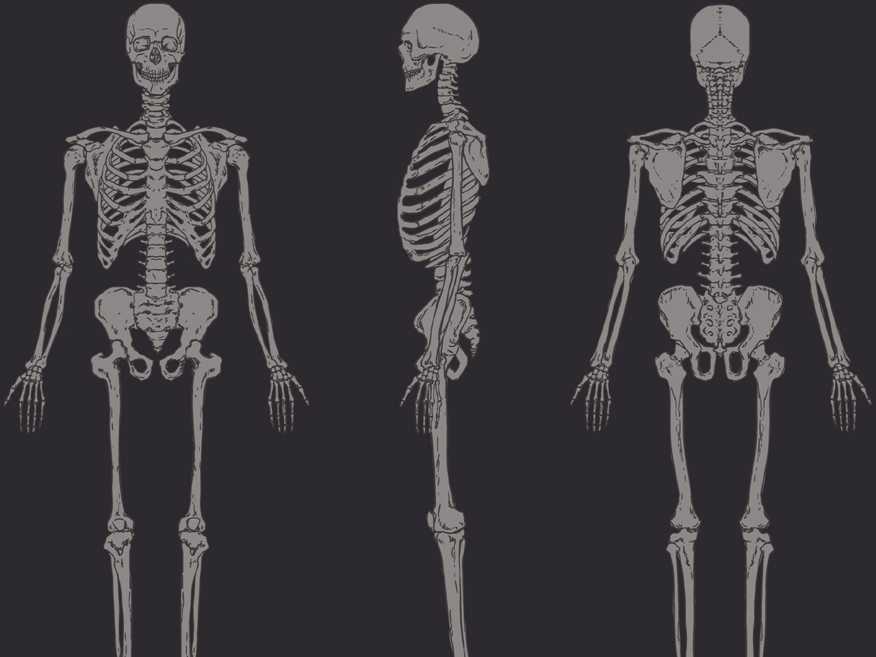 skeletal-system-activities-for-students