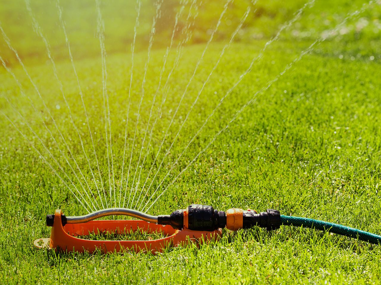 Things To Know About Automatic Plant Watering Systems