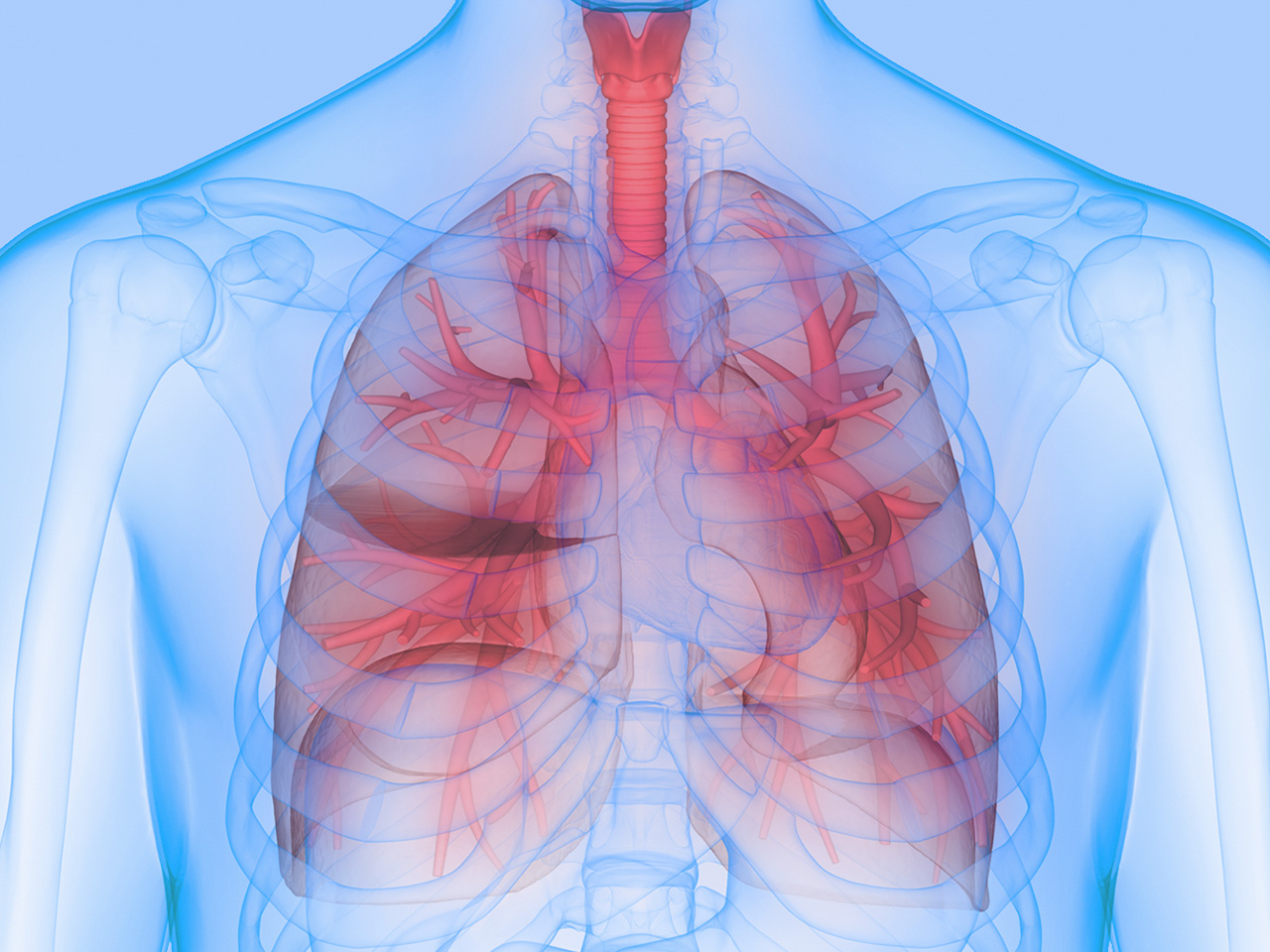 expectorant-vs-decongestant