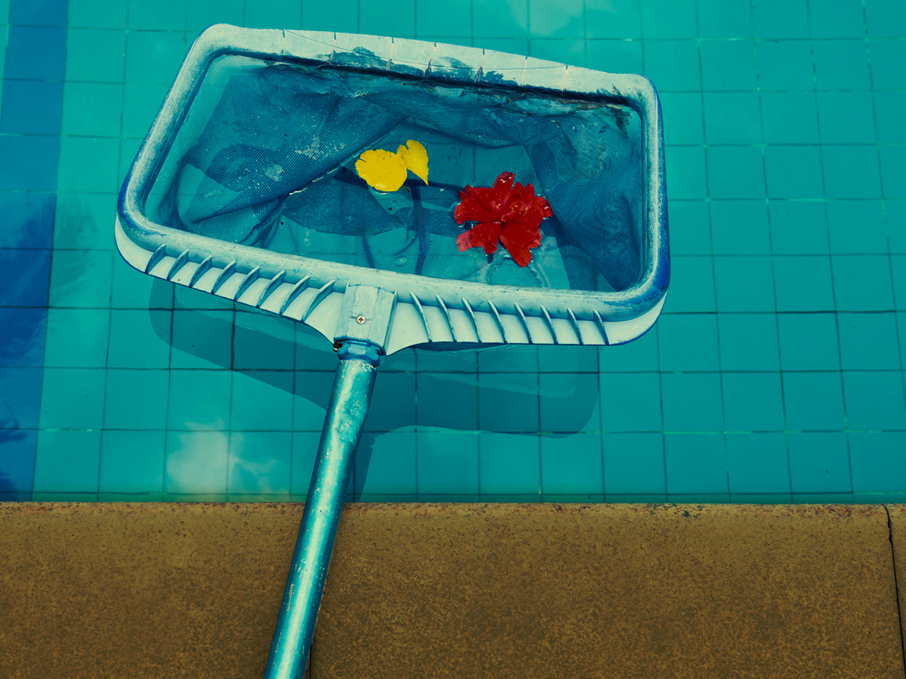 swimming-pool-cleaning-tips