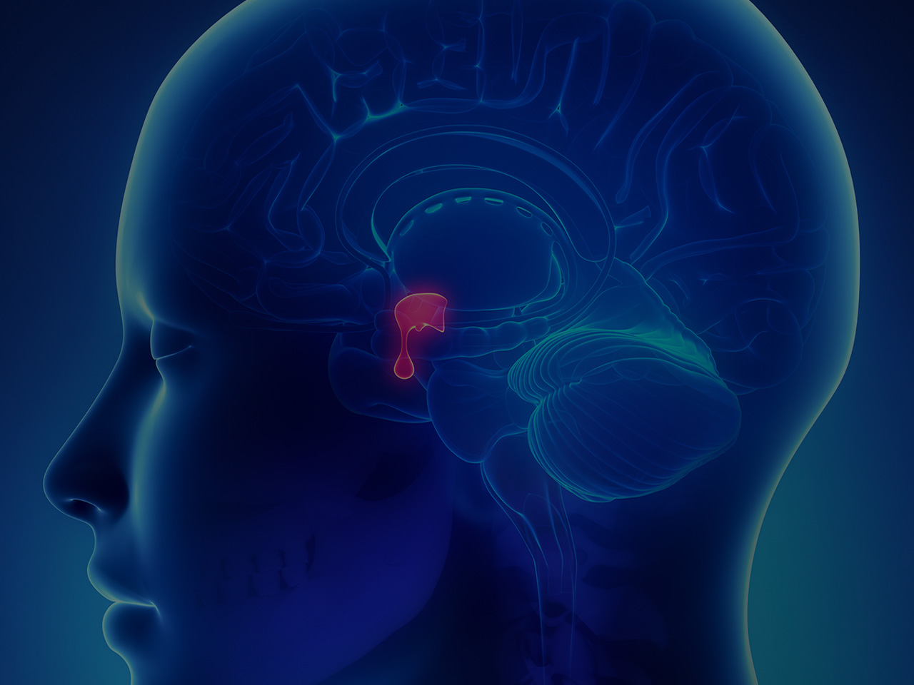 Pituitary Gland Tumor Symptoms Of Pituitary Adenoma 