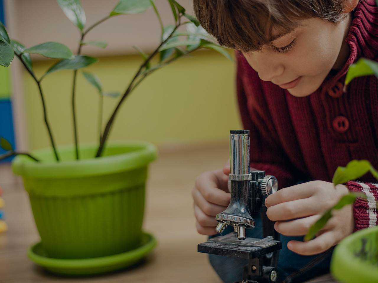 5th-grade-science-fair-project-topics