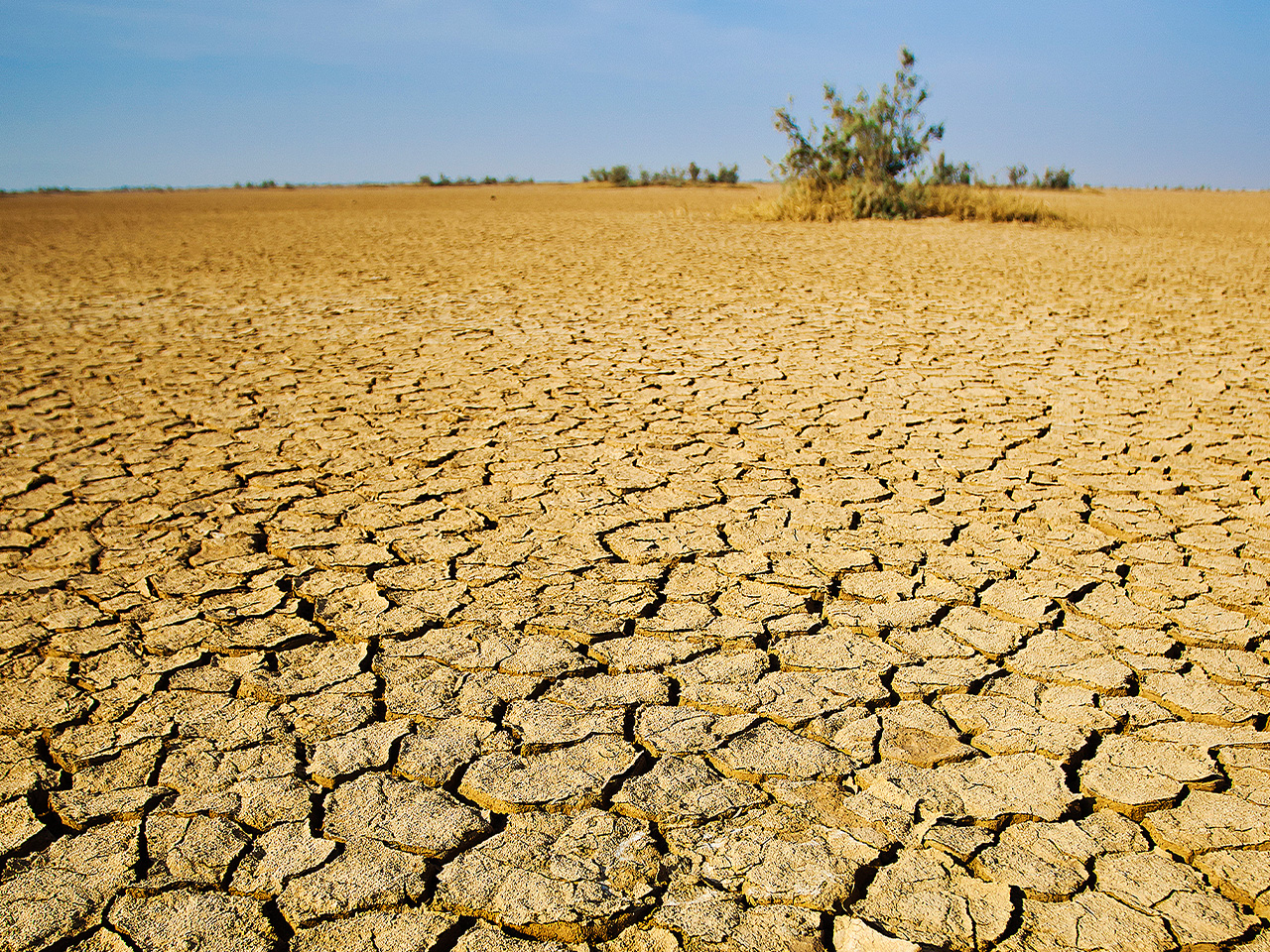 what-is-the-difference-between-weathering-and-erosion