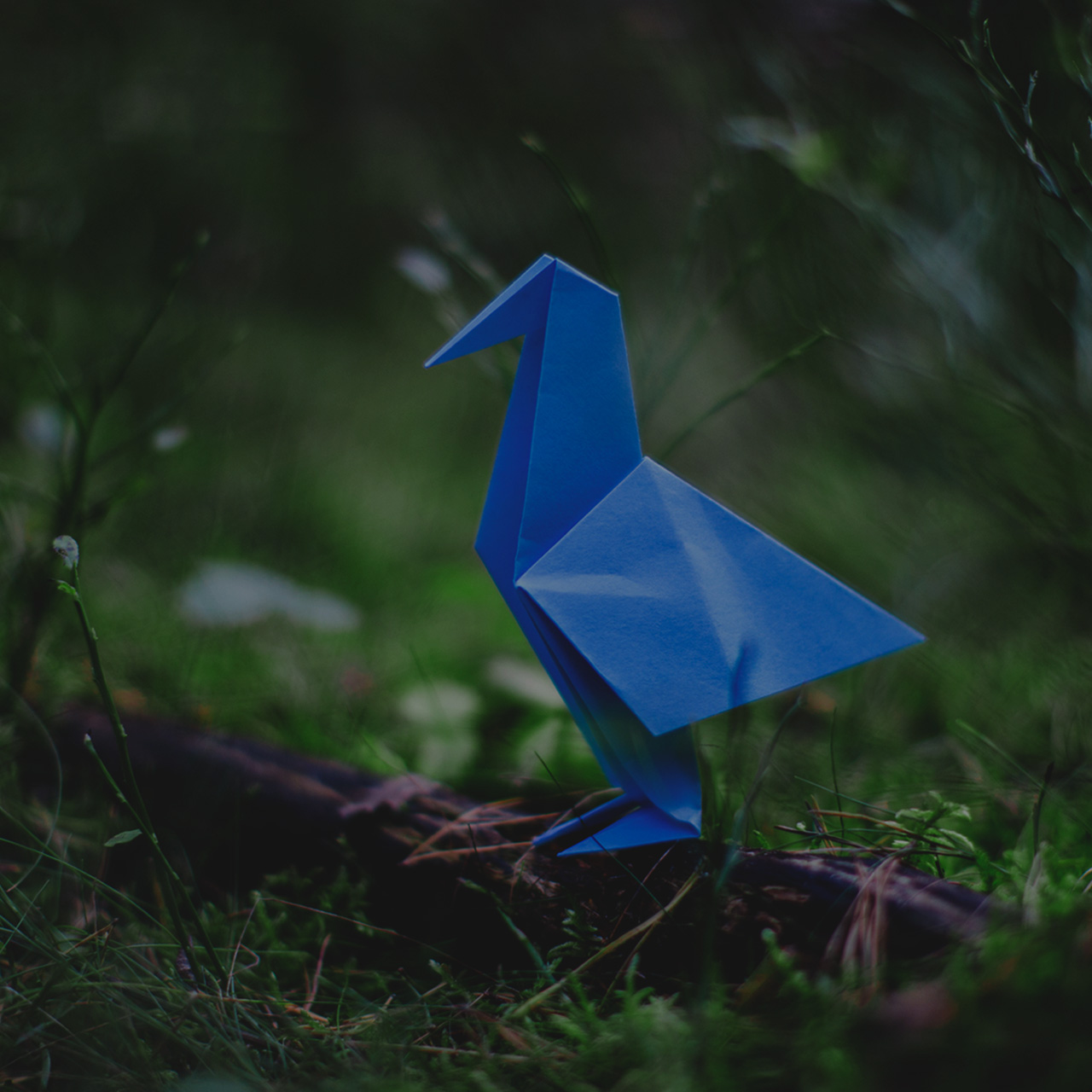 Easy origami hummingbird