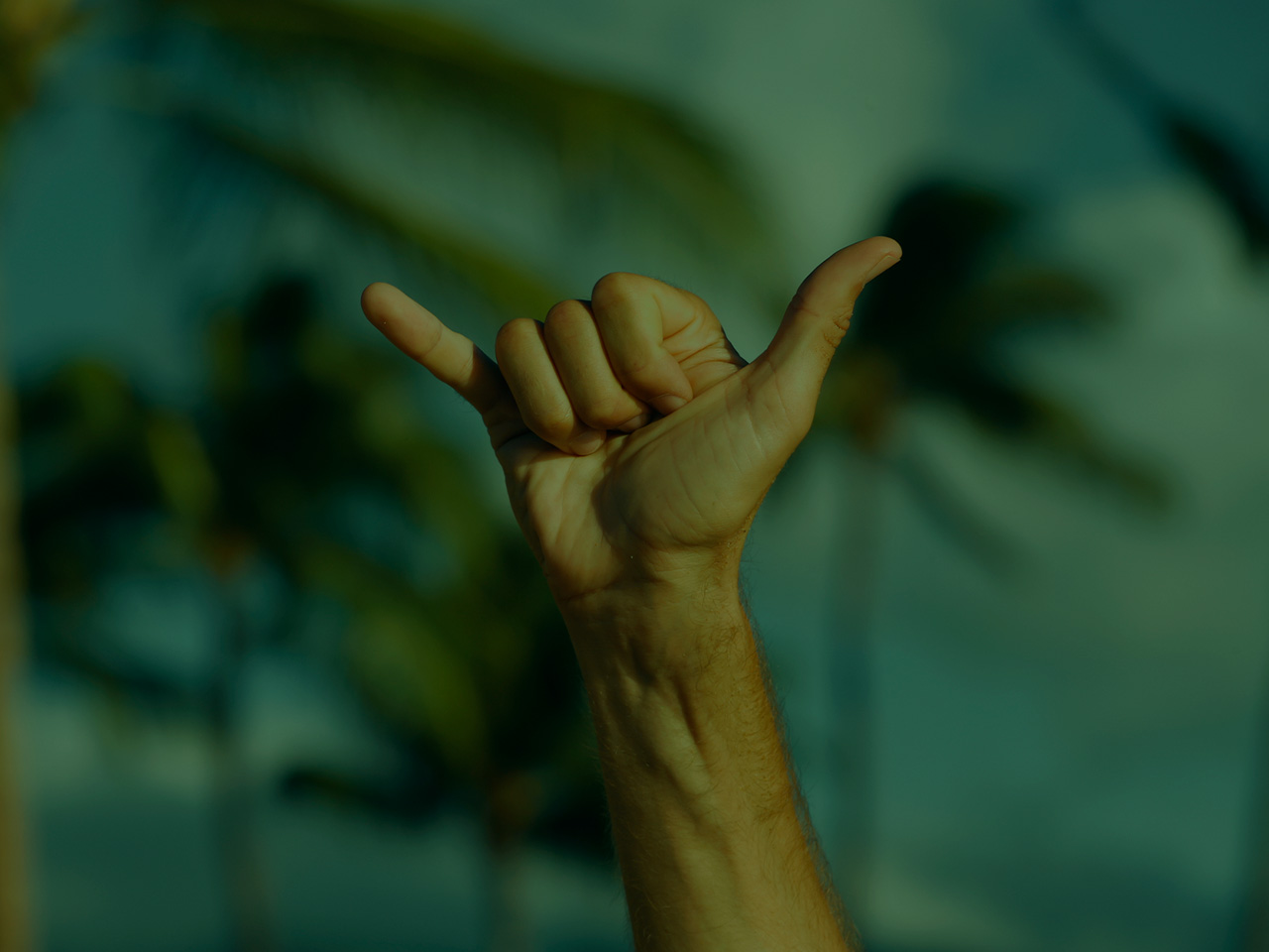 History And Meaning Of The Shaka Hang Loose Sign 