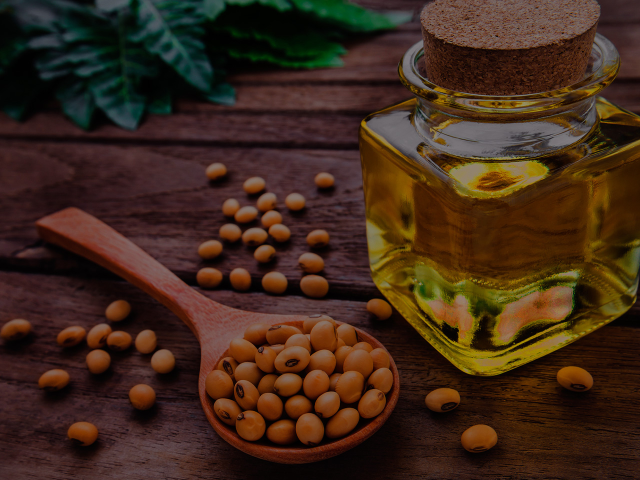 hydrogenated-soybean-oil