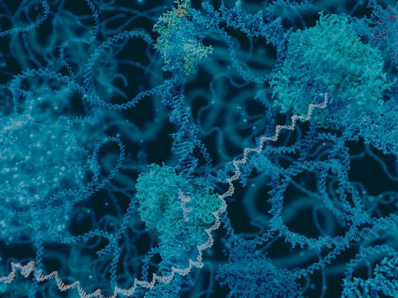 Salivary Amylase