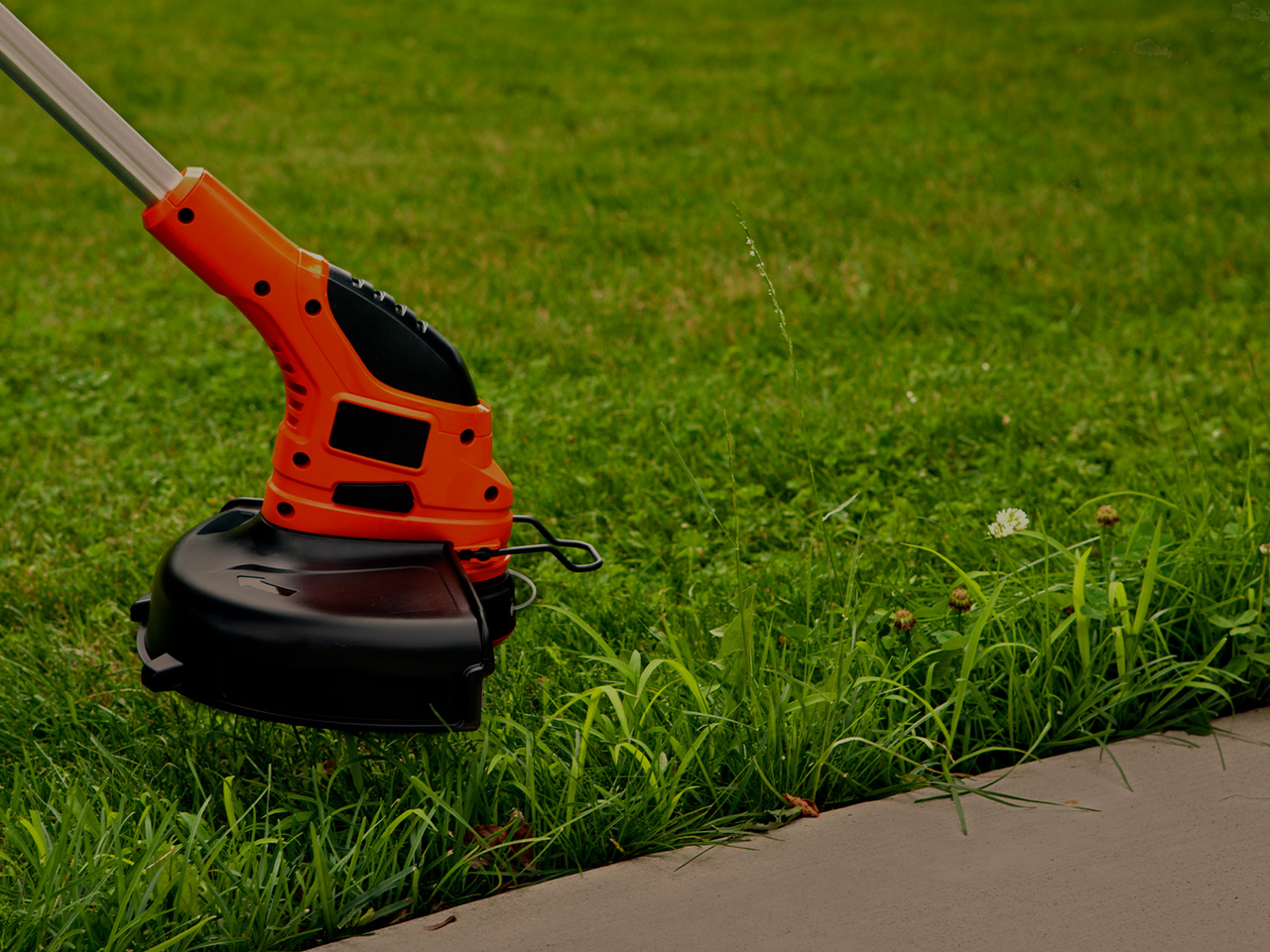 How To Use A Weed Wacker Properly