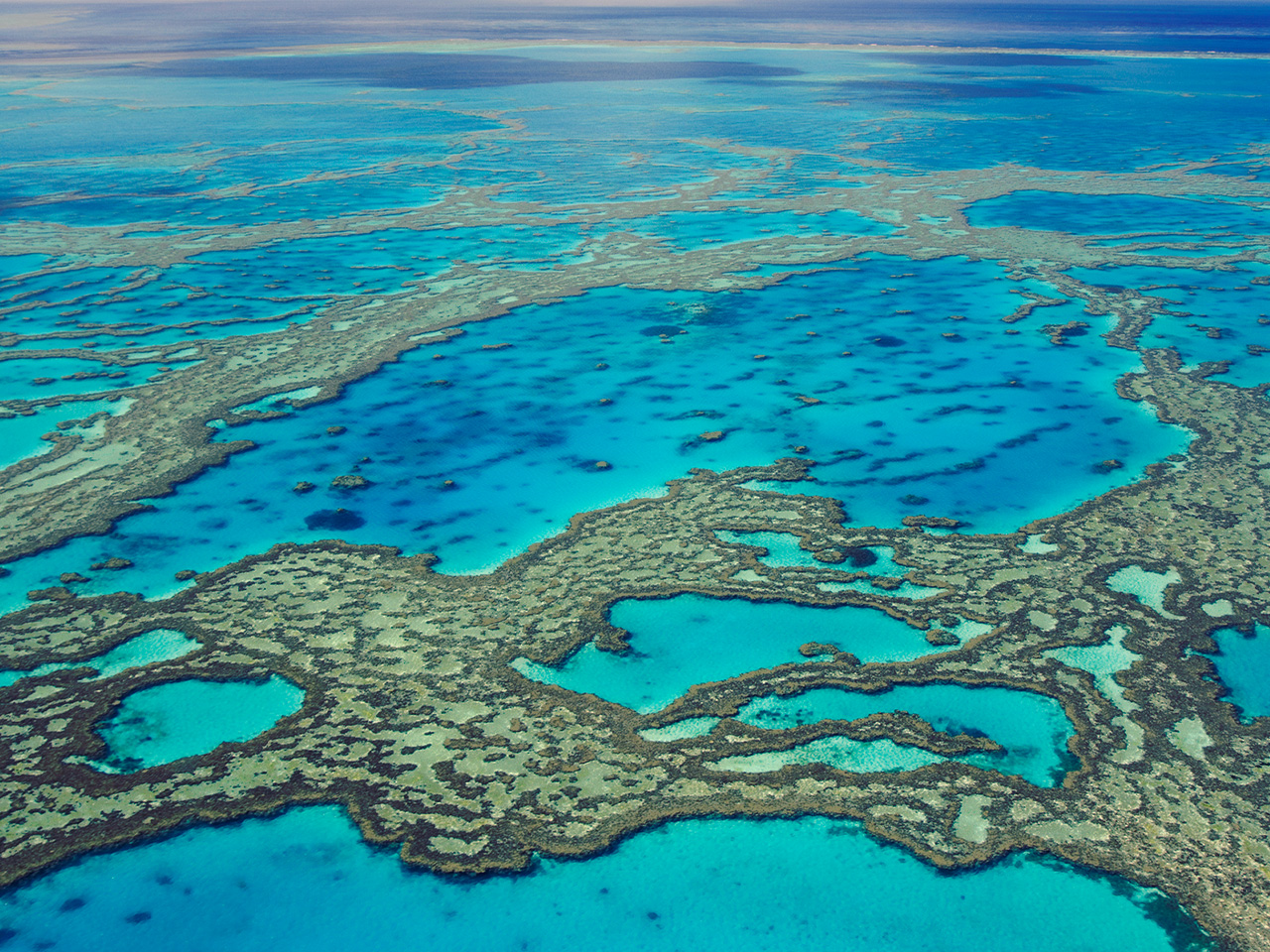 Marvelous Facts About the Great Barrier Reef